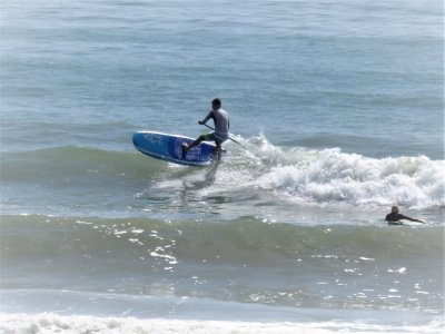 IMG_3872a.jpg