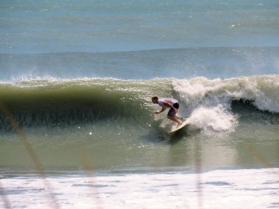 IMG_5241a.jpg