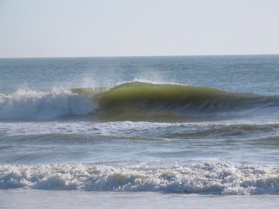 IMG_4196b.JPG