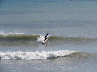 IMG_4113b.JPG