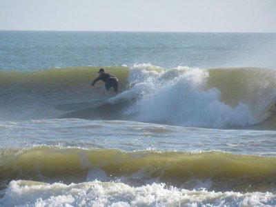 IMG_4224b.JPG