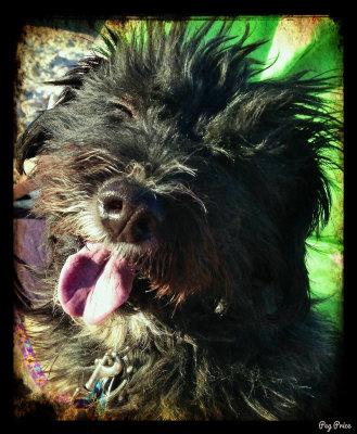 Crazy Happy Boy