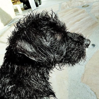 Bath Time