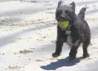 I Found a Ball