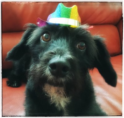 Our Gay Caballero