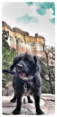 Durango Trip