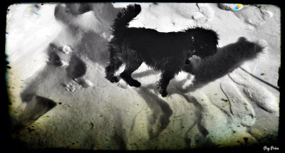 First Snow on Mt. Lemmon