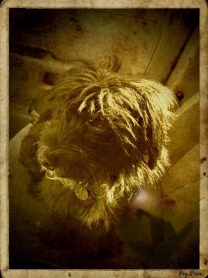 Haircut Time