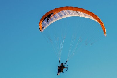 Woody is tasting the sky