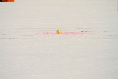 The goal