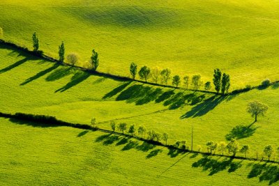 Le Rougier