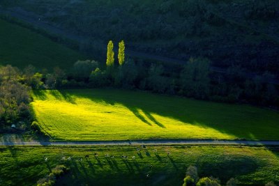 Le Rougier