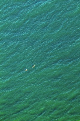 La mer