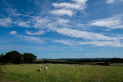 Freshbreeze UK flyin 2017 in Devon