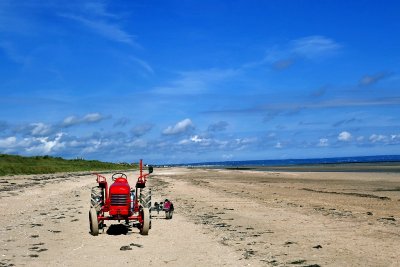 UTAH BEACH
