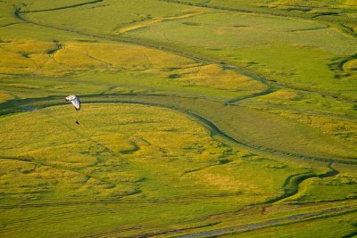 IMG_6866_LUMIX2017int17.jpg