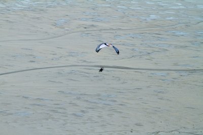 IMG_6891_LUMIX2017int17.jpg