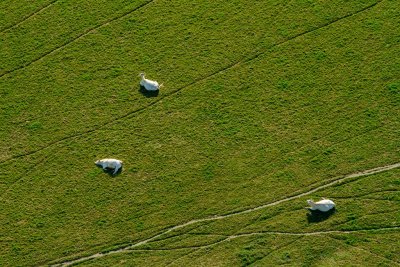 IMG_6903_LUMIX2017int17.jpg