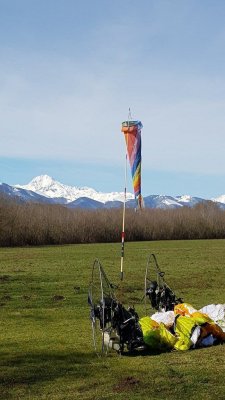 Anères de printemps