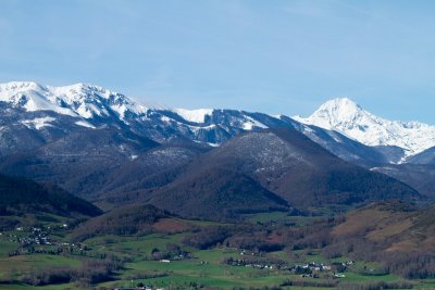 Anères de printemps