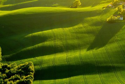 50 shades of green