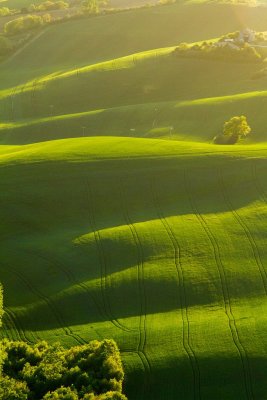 50 shades of green