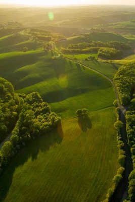 50 shades of green