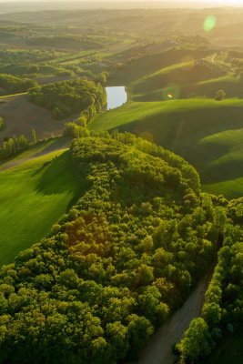 50 shades of green