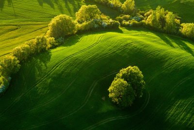 50 shades of green