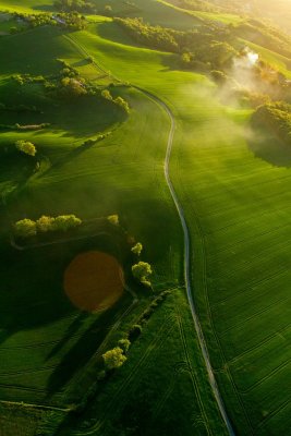50 shades of green