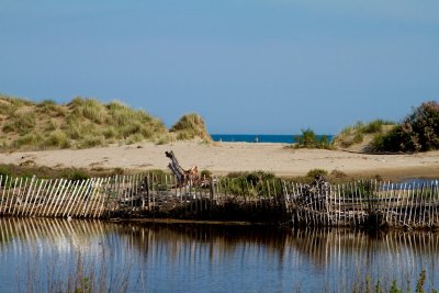 Sérignan-Plage