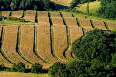 Le sud du Tarn au printemps