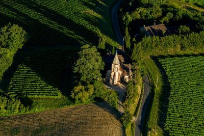 Le sud du Tarn au printemps