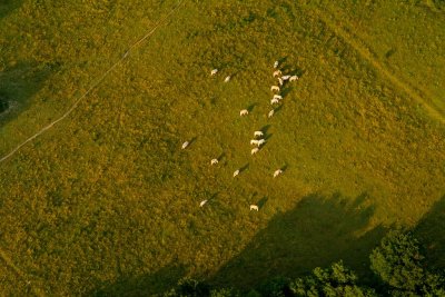 Le sud du Tarn au printemps