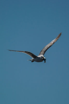 DSC_2568.jpg