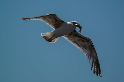 DSC_2576.jpg