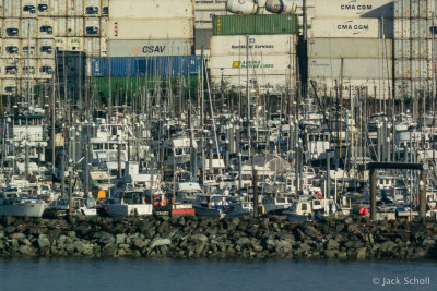 DSC_3996.jpg