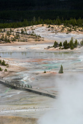 yellowstone