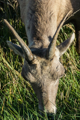 DSC_2043.jpg