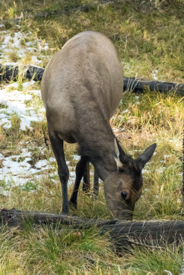 DSC_2848.jpg