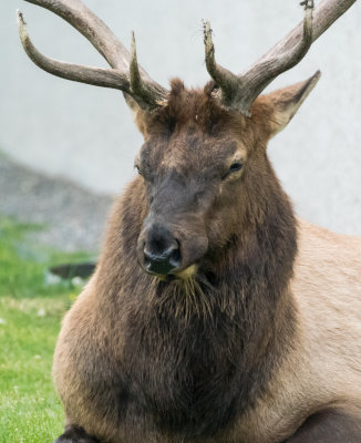 DSC_3386.jpg