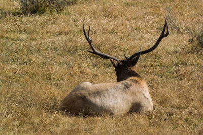 DSC_3190.jpg
