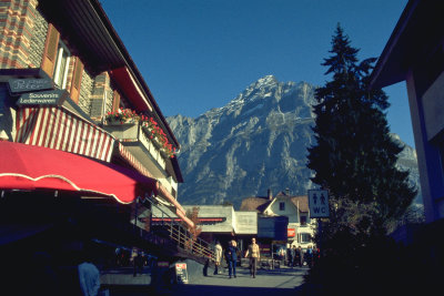 IMG0058.jpg