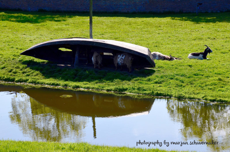Enkhuizen and the Zuiderzee Museum