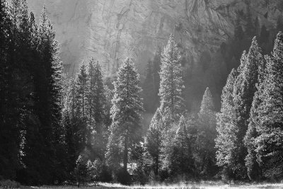 Morning light