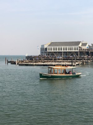 IMG_2097.JPG