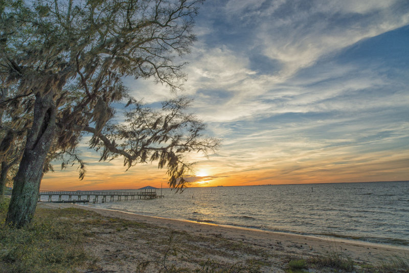 tree and ship.jpg