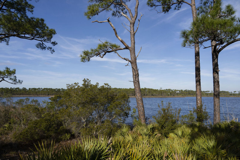 lagoon_bsnwr_1_of_1_copy.jpg