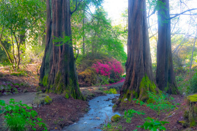 colors of Spring