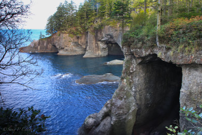 Cape Flattery